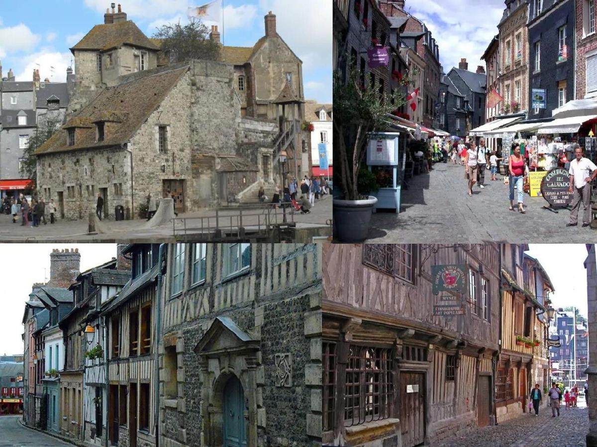 Le Havre De Paix 8 , Les Hauts De Honfleur, Piscine, Wifi Et Parking Gratuits エクモヴィル エクステリア 写真